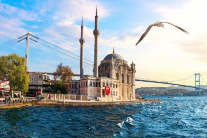 Seagull,Flies,By,The,Bosphorus,Bridge,And,Ortakoy,Mosque,,Istanbul