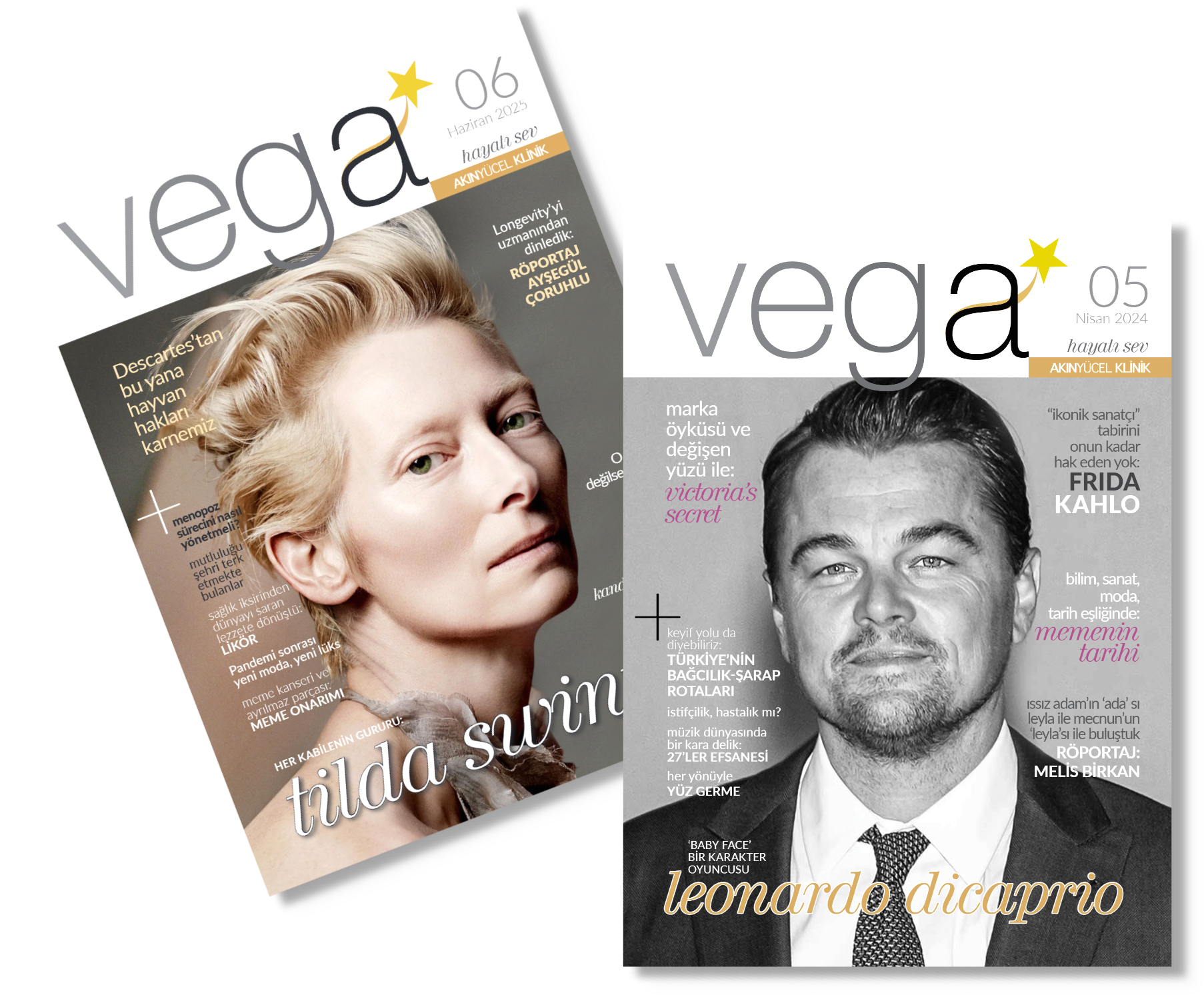 Vega Dergi